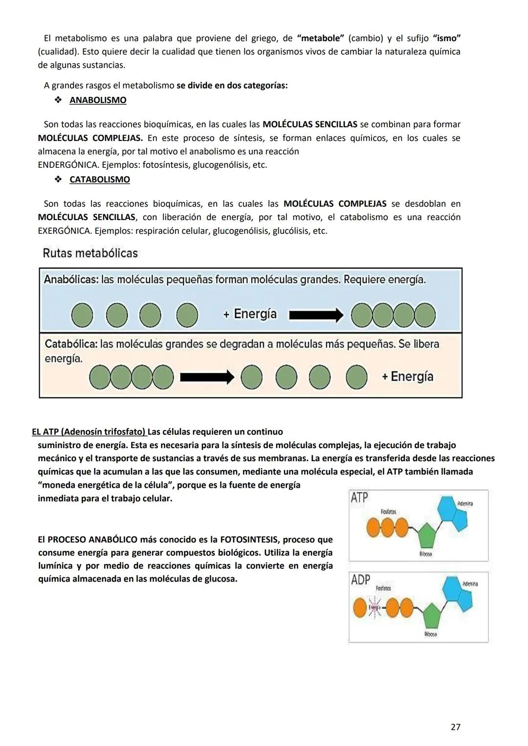 PROGRAMA ANUAL-2024-
ESPACIO CURRICULAR: BIOLOGÍA II
PROFESORA:
CURSO: 4º año DIVISIÓN: CIENCIAS NATURALES
PROGRAMA DE ESTUDIOS DE BIOLO
