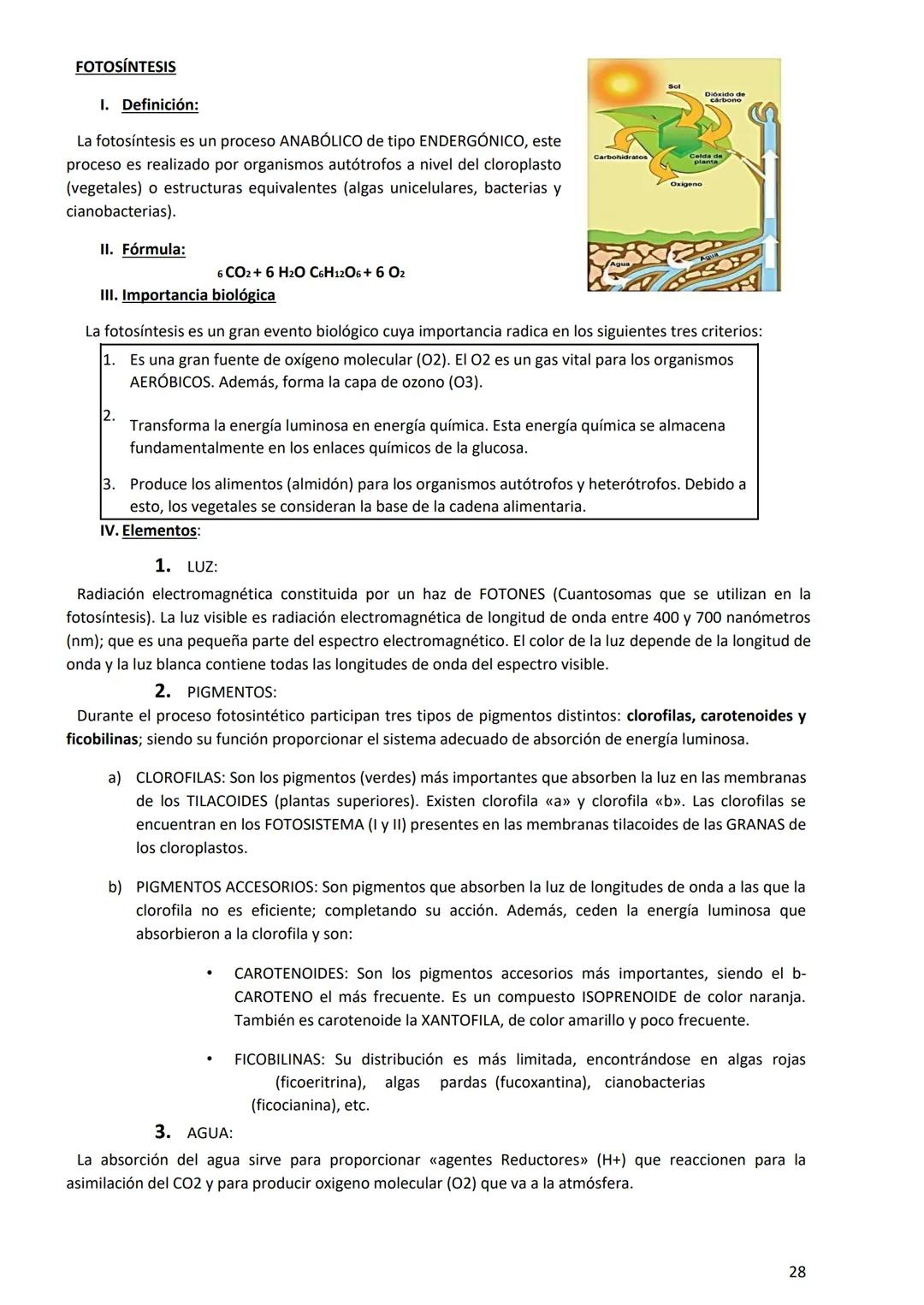 PROGRAMA ANUAL-2024-
ESPACIO CURRICULAR: BIOLOGÍA II
PROFESORA:
CURSO: 4º año DIVISIÓN: CIENCIAS NATURALES
PROGRAMA DE ESTUDIOS DE BIOLO