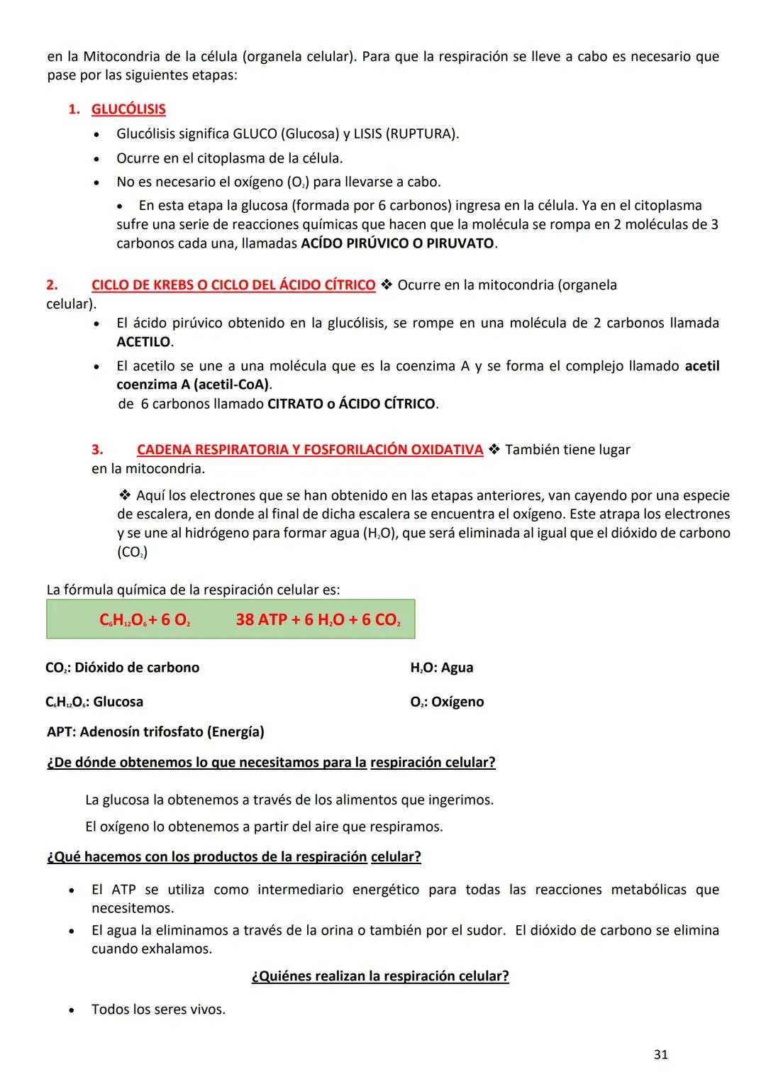 PROGRAMA ANUAL-2024-
ESPACIO CURRICULAR: BIOLOGÍA II
PROFESORA:
CURSO: 4º año DIVISIÓN: CIENCIAS NATURALES
PROGRAMA DE ESTUDIOS DE BIOLO