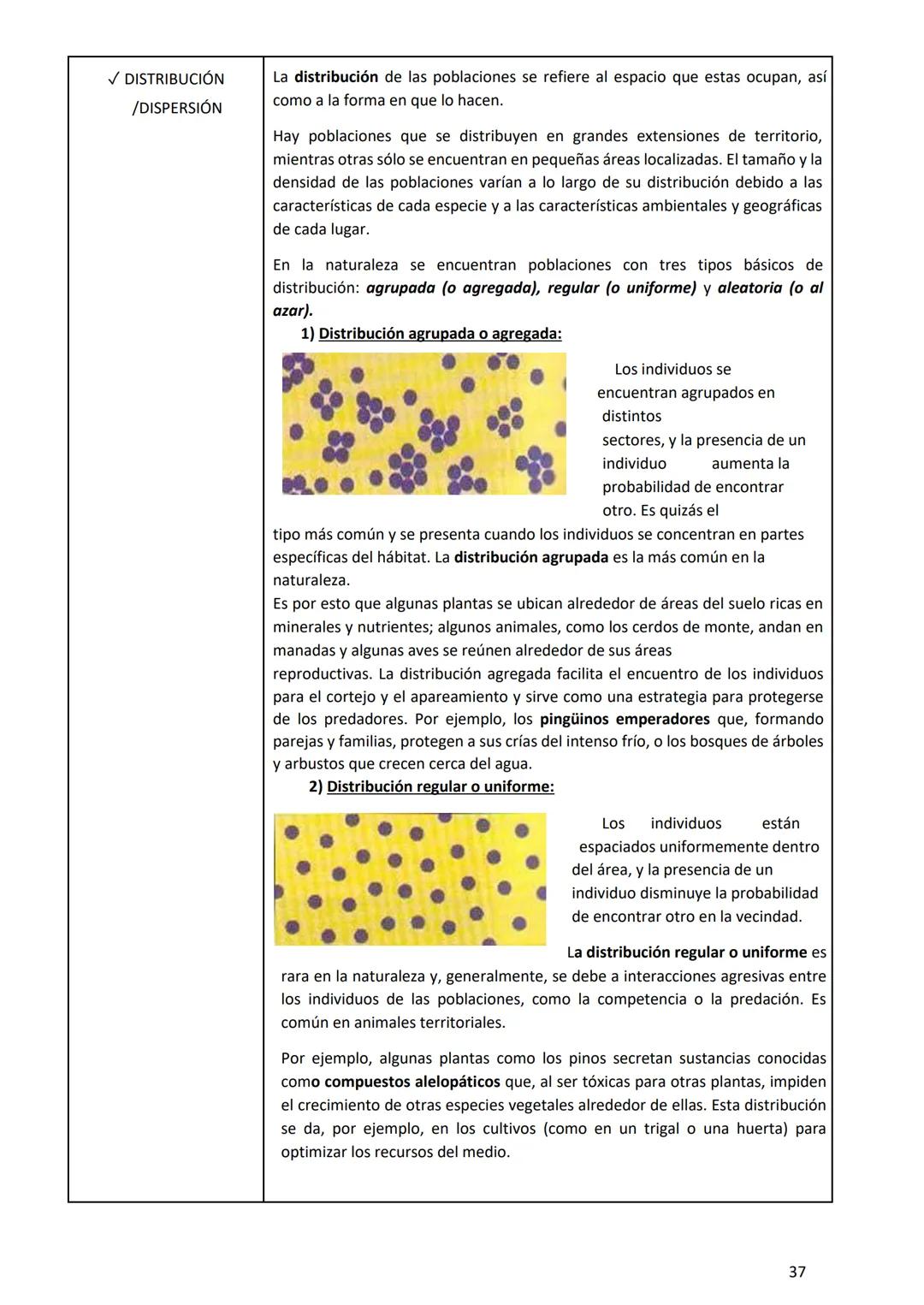 PROGRAMA ANUAL-2024-
ESPACIO CURRICULAR: BIOLOGÍA II
PROFESORA:
CURSO: 4º año DIVISIÓN: CIENCIAS NATURALES
PROGRAMA DE ESTUDIOS DE BIOLO