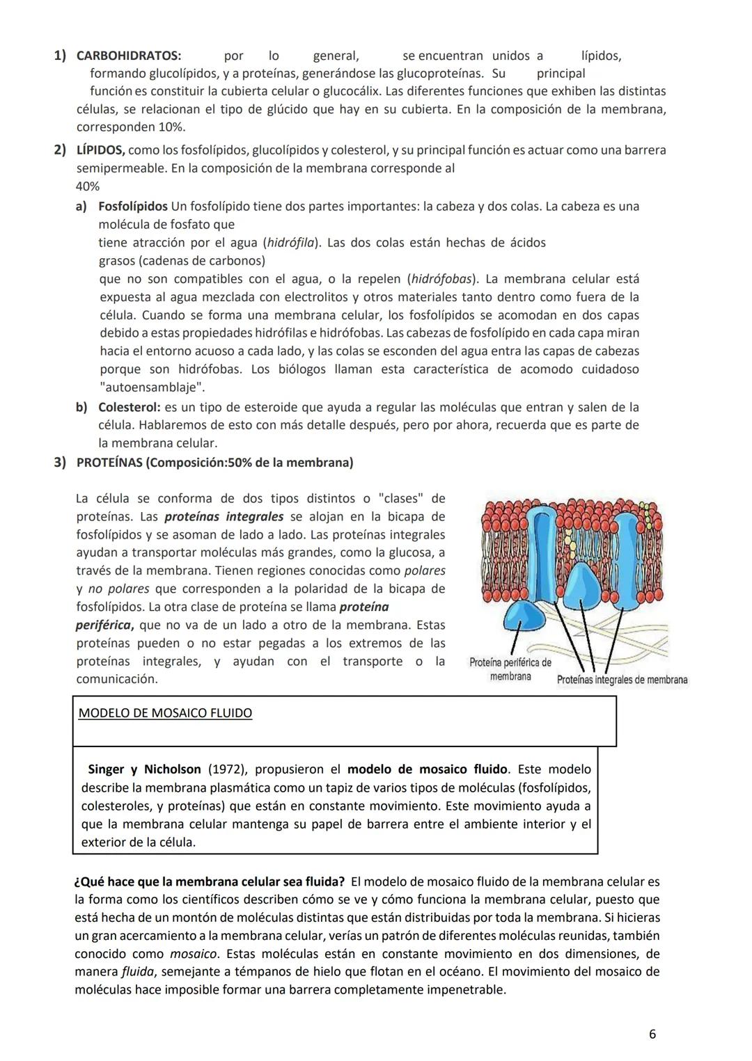 PROGRAMA ANUAL-2024-
ESPACIO CURRICULAR: BIOLOGÍA II
PROFESORA:
CURSO: 4º año DIVISIÓN: CIENCIAS NATURALES
PROGRAMA DE ESTUDIOS DE BIOLO