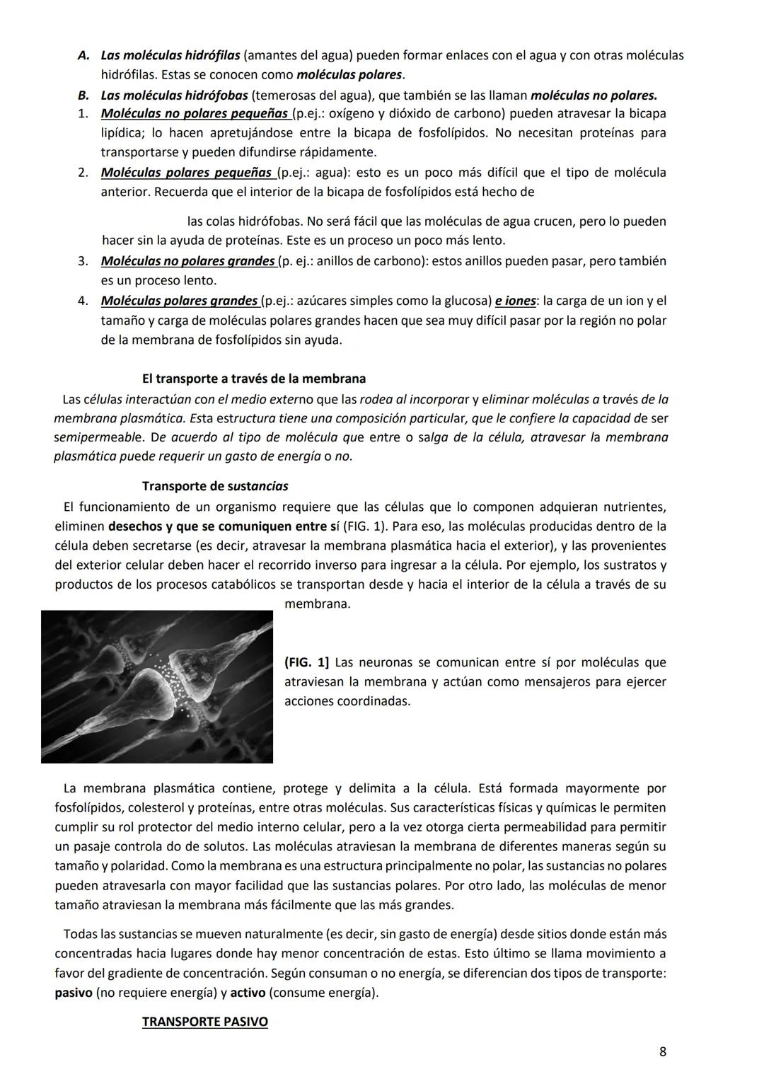 PROGRAMA ANUAL-2024-
ESPACIO CURRICULAR: BIOLOGÍA II
PROFESORA:
CURSO: 4º año DIVISIÓN: CIENCIAS NATURALES
PROGRAMA DE ESTUDIOS DE BIOLO