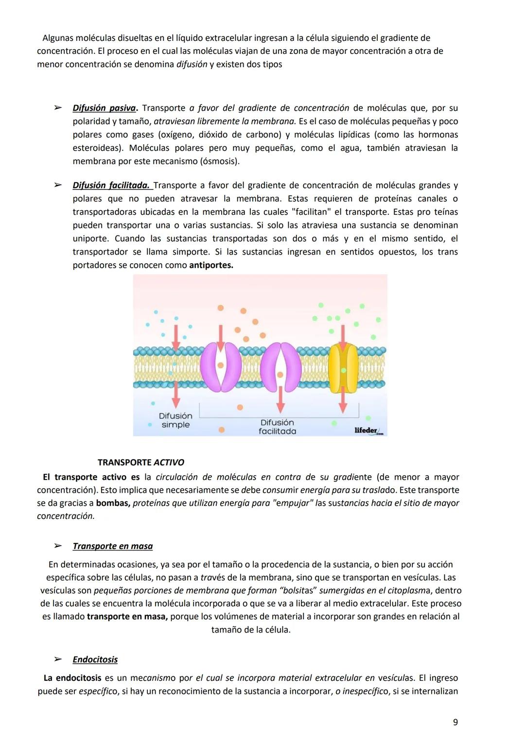 PROGRAMA ANUAL-2024-
ESPACIO CURRICULAR: BIOLOGÍA II
PROFESORA:
CURSO: 4º año DIVISIÓN: CIENCIAS NATURALES
PROGRAMA DE ESTUDIOS DE BIOLO