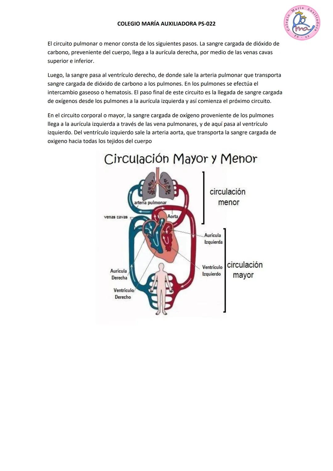 COLEGIO MARÍA AUXILIADORA PS-022
CIENCIAS NATURALES
APRENDIZAJE N° 6: Sistema circulatorio
Maria AuxI/
ma
Como ya sabemos a todas las cél