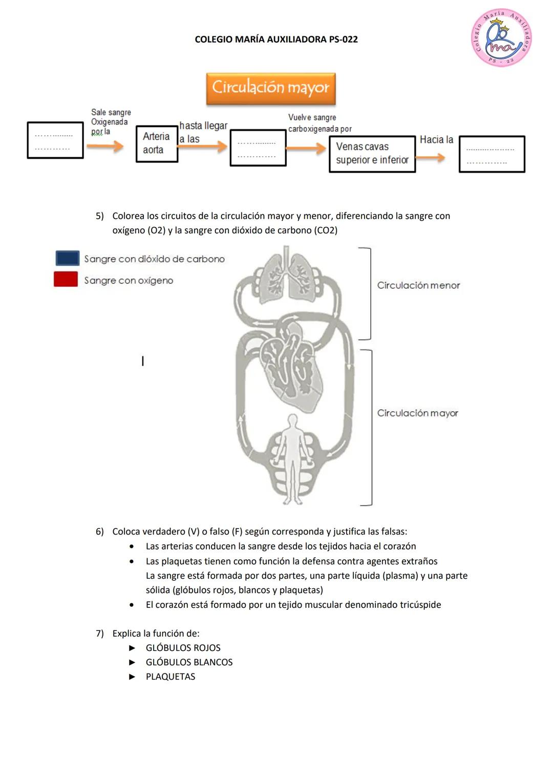 COLEGIO MARÍA AUXILIADORA PS-022
CIENCIAS NATURALES
APRENDIZAJE N° 6: Sistema circulatorio
Maria AuxI/
ma
Como ya sabemos a todas las cél