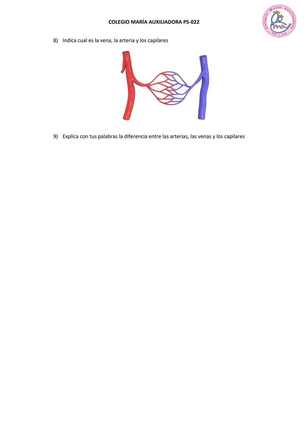 COLEGIO MARÍA AUXILIADORA PS-022
CIENCIAS NATURALES
APRENDIZAJE N° 6: Sistema circulatorio
Maria AuxI/
ma
Como ya sabemos a todas las cél