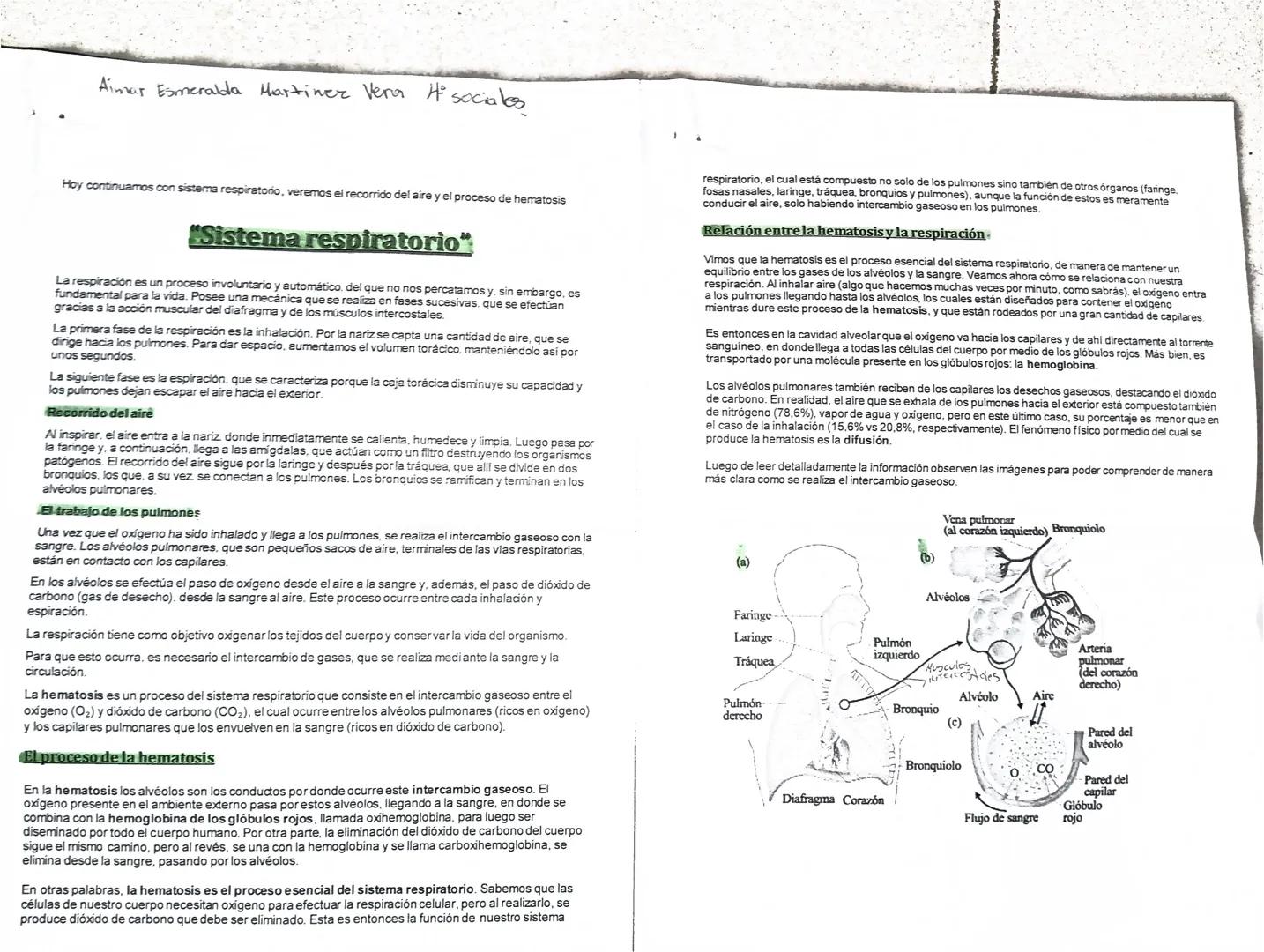 Aimar Esmeralda Martinez Vera iti sociales
Hoy continuamos con sistema respiratorio, veremos el recorrido del aire y el proceso de hematosi