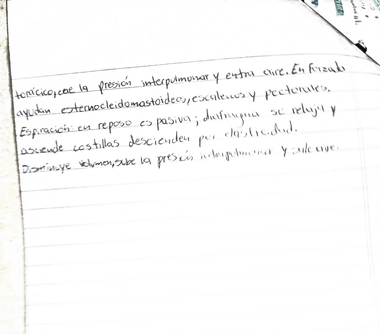 Aimar Esmeralda Martinez Vera iti sociales
Hoy continuamos con sistema respiratorio, veremos el recorrido del aire y el proceso de hematosi