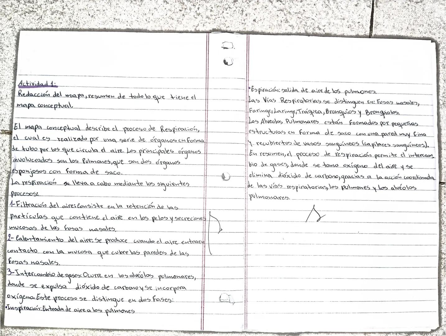 Aimar Esmeralda Martinez Vera iti sociales
Hoy continuamos con sistema respiratorio, veremos el recorrido del aire y el proceso de hematosi