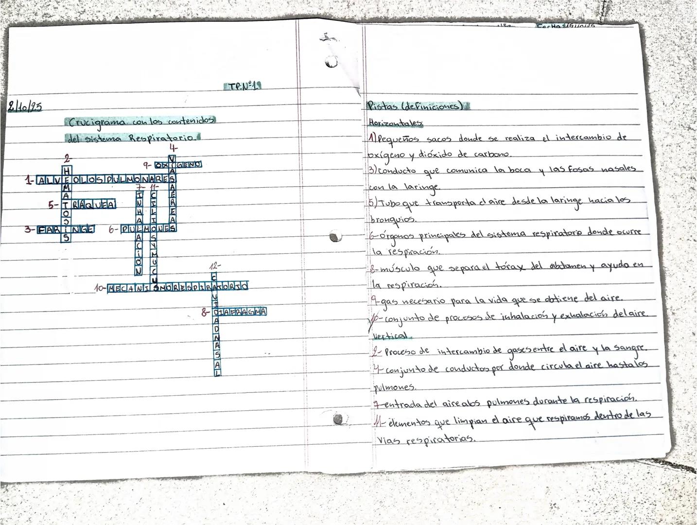 Aimar Esmeralda Martinez Vera iti sociales
Hoy continuamos con sistema respiratorio, veremos el recorrido del aire y el proceso de hematosi