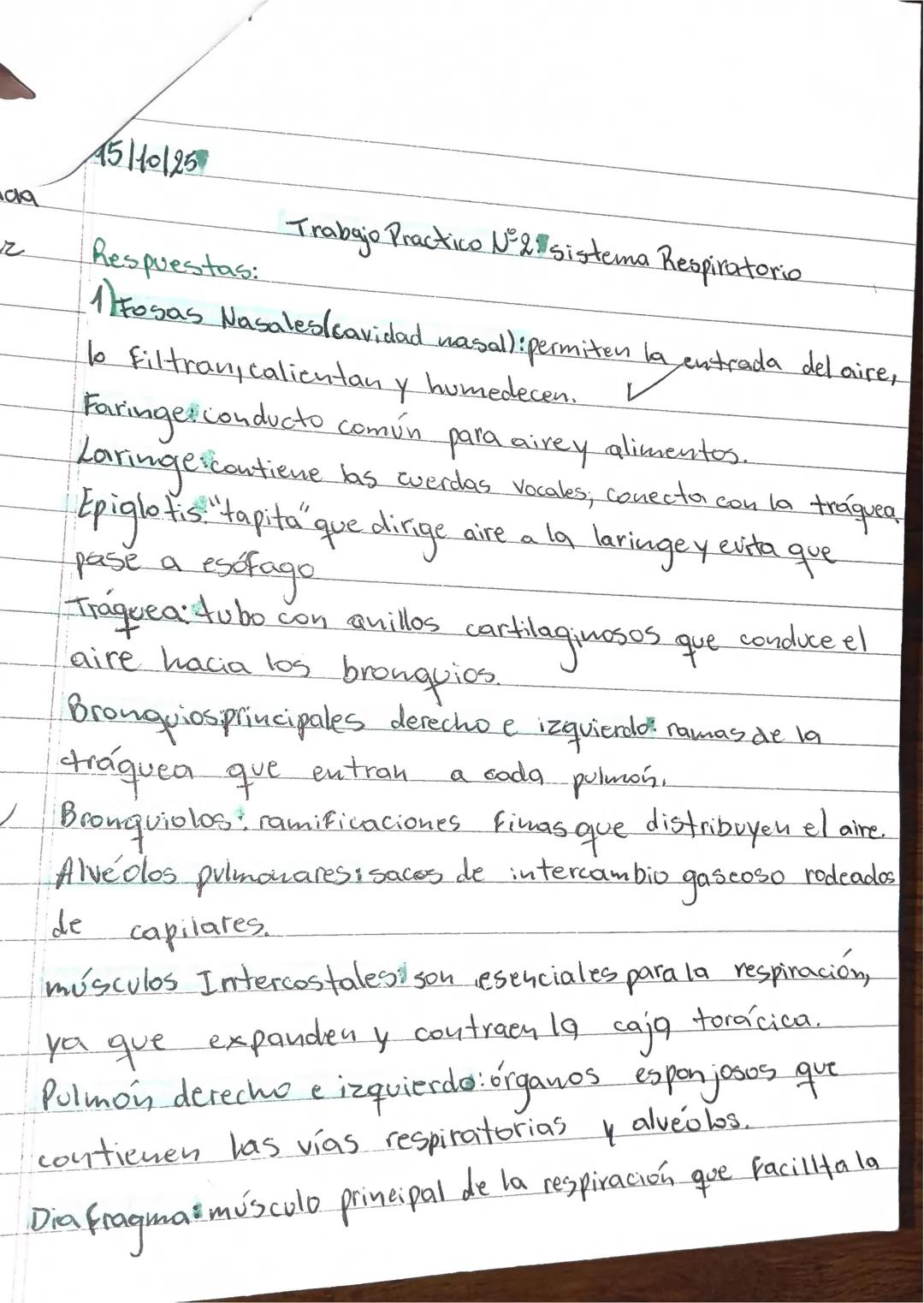Aimar Esmeralda Martinez Vera iti sociales
Hoy continuamos con sistema respiratorio, veremos el recorrido del aire y el proceso de hematosi