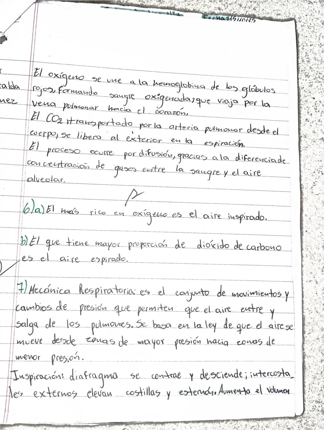Aimar Esmeralda Martinez Vera iti sociales
Hoy continuamos con sistema respiratorio, veremos el recorrido del aire y el proceso de hematosi