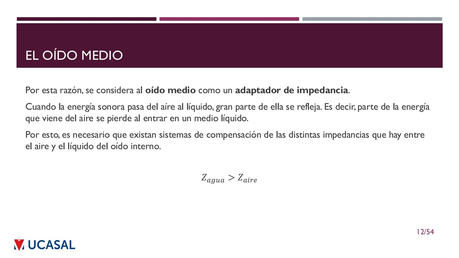 +
IHS
☑ UCASAL
UNIVERSIDAD CATÓLICA DE SALTA
UNIDAD VI: EL MECANISMO DE LA
PERCEPCIÓN AUDITIVA
Ing. Maximiliano Ortiz (maortiz@ucasal.ed