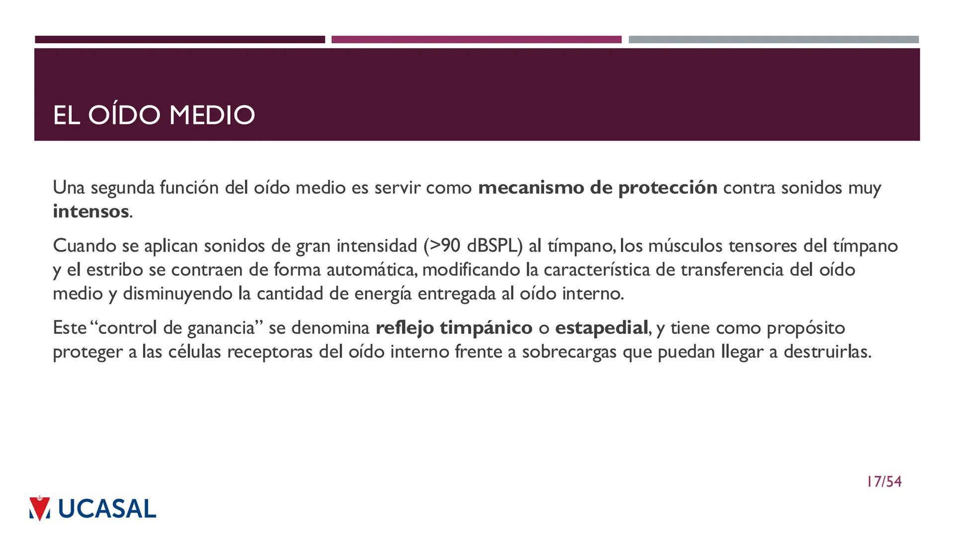+
IHS
☑ UCASAL
UNIVERSIDAD CATÓLICA DE SALTA
UNIDAD VI: EL MECANISMO DE LA
PERCEPCIÓN AUDITIVA
Ing. Maximiliano Ortiz (maortiz@ucasal.ed
