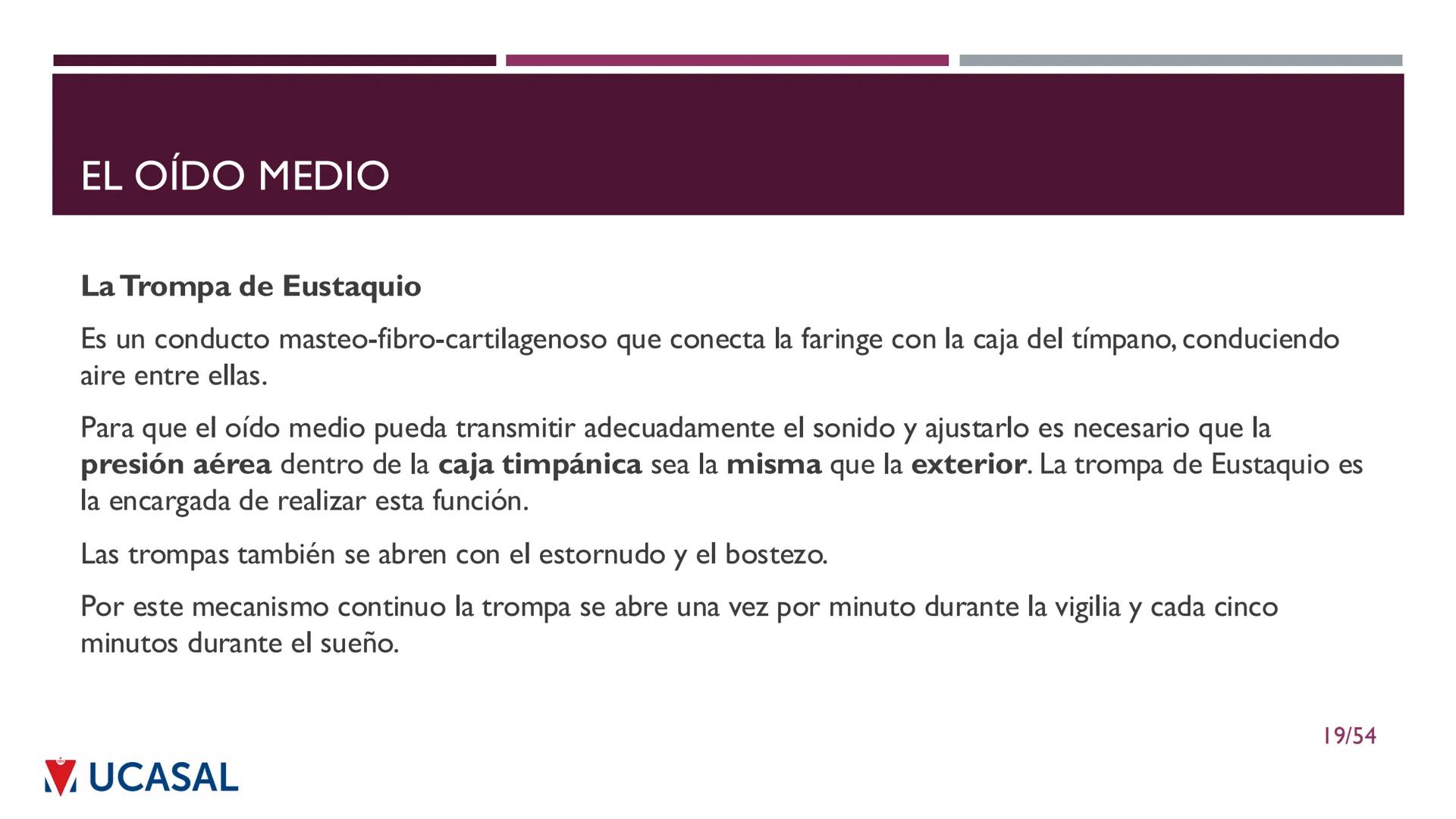 +
IHS
☑ UCASAL
UNIVERSIDAD CATÓLICA DE SALTA
UNIDAD VI: EL MECANISMO DE LA
PERCEPCIÓN AUDITIVA
Ing. Maximiliano Ortiz (maortiz@ucasal.ed