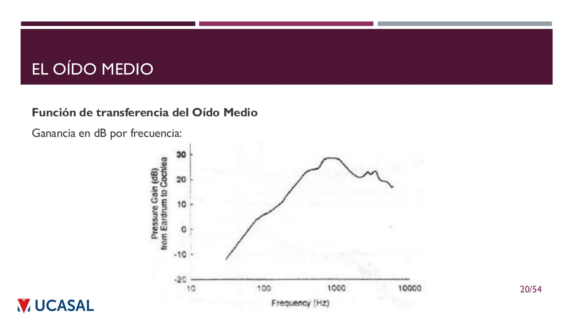 +
IHS
☑ UCASAL
UNIVERSIDAD CATÓLICA DE SALTA
UNIDAD VI: EL MECANISMO DE LA
PERCEPCIÓN AUDITIVA
Ing. Maximiliano Ortiz (maortiz@ucasal.ed