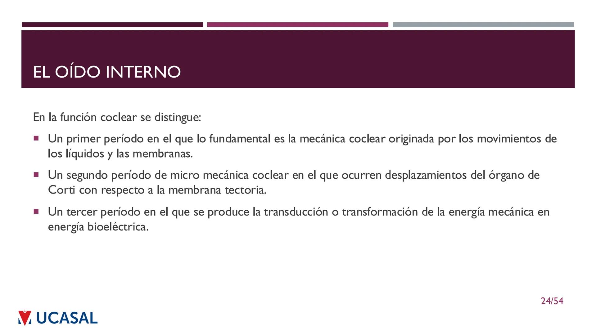 +
IHS
☑ UCASAL
UNIVERSIDAD CATÓLICA DE SALTA
UNIDAD VI: EL MECANISMO DE LA
PERCEPCIÓN AUDITIVA
Ing. Maximiliano Ortiz (maortiz@ucasal.ed