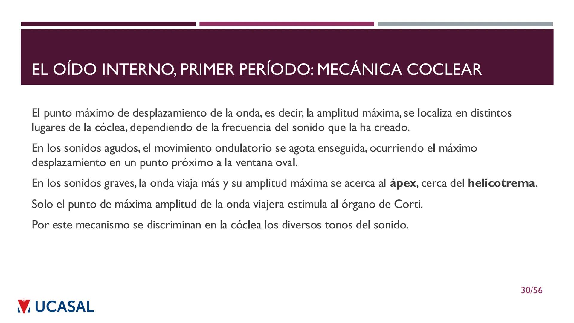 +
IHS
☑ UCASAL
UNIVERSIDAD CATÓLICA DE SALTA
UNIDAD VI: EL MECANISMO DE LA
PERCEPCIÓN AUDITIVA
Ing. Maximiliano Ortiz (maortiz@ucasal.ed