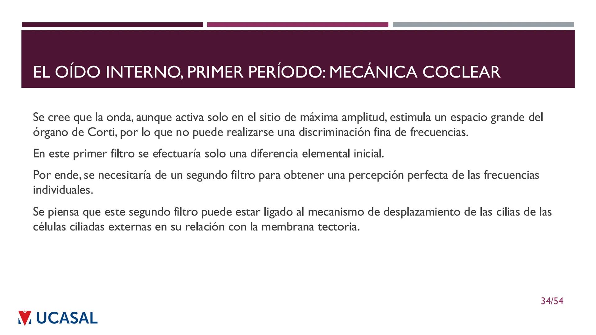 +
IHS
☑ UCASAL
UNIVERSIDAD CATÓLICA DE SALTA
UNIDAD VI: EL MECANISMO DE LA
PERCEPCIÓN AUDITIVA
Ing. Maximiliano Ortiz (maortiz@ucasal.ed