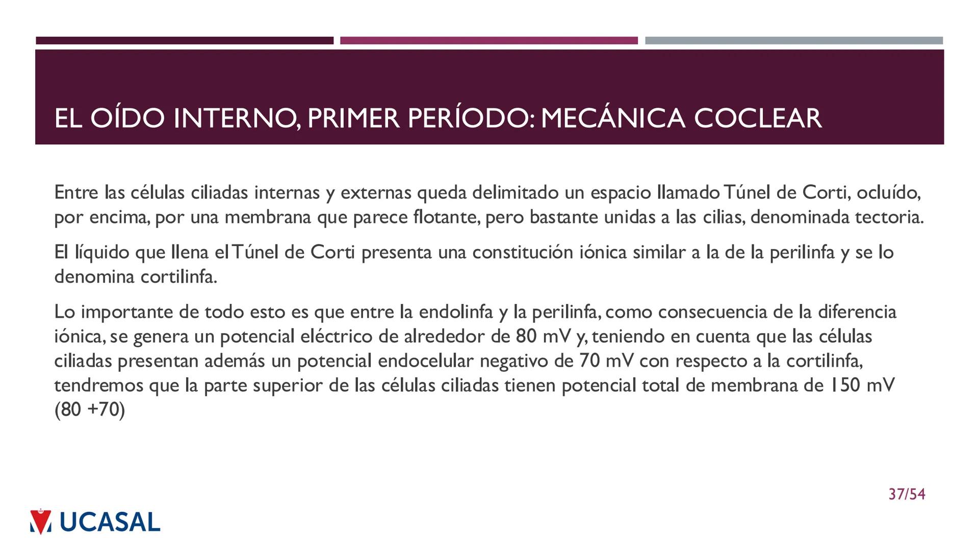 +
IHS
☑ UCASAL
UNIVERSIDAD CATÓLICA DE SALTA
UNIDAD VI: EL MECANISMO DE LA
PERCEPCIÓN AUDITIVA
Ing. Maximiliano Ortiz (maortiz@ucasal.ed