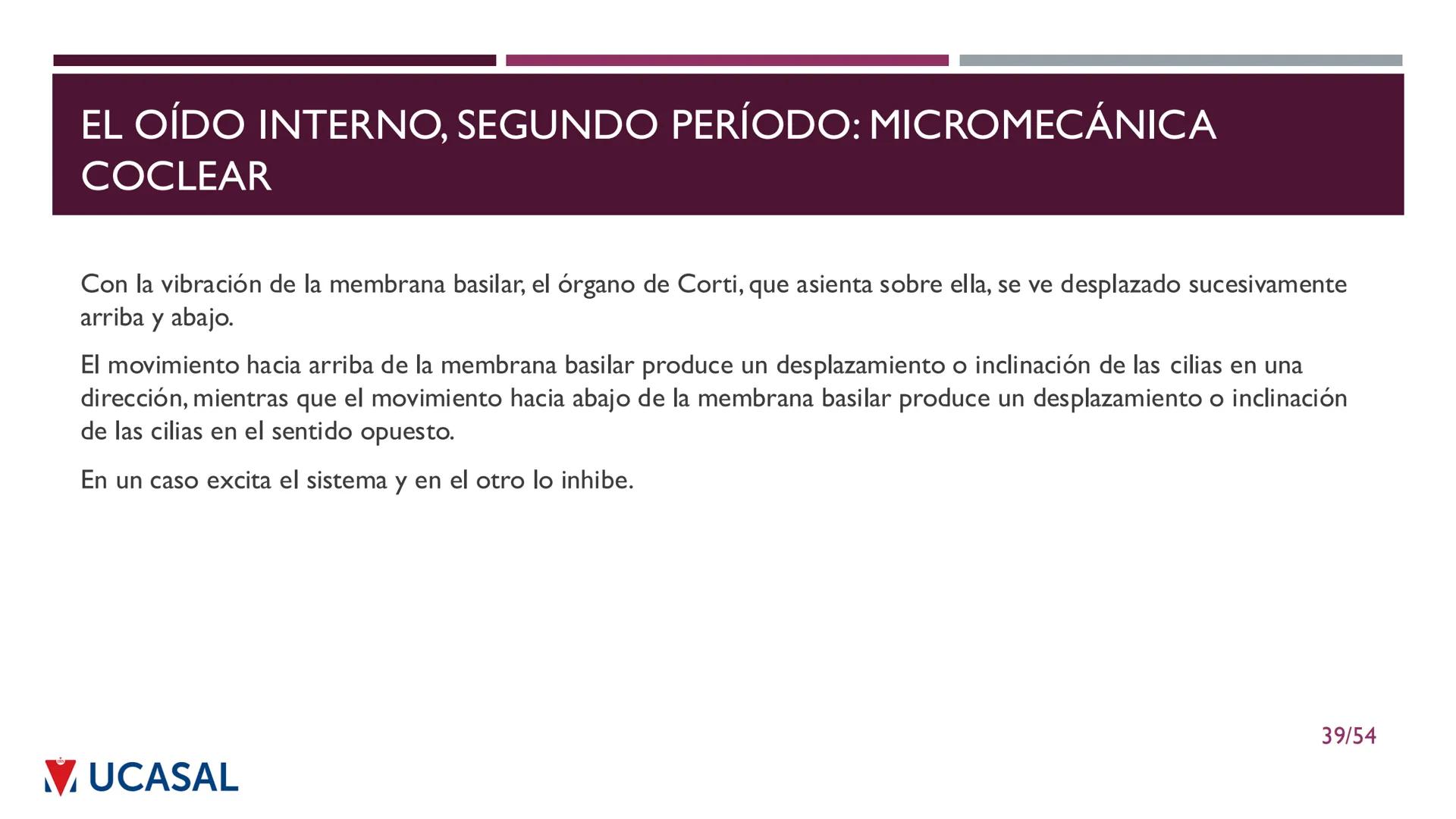 +
IHS
☑ UCASAL
UNIVERSIDAD CATÓLICA DE SALTA
UNIDAD VI: EL MECANISMO DE LA
PERCEPCIÓN AUDITIVA
Ing. Maximiliano Ortiz (maortiz@ucasal.ed