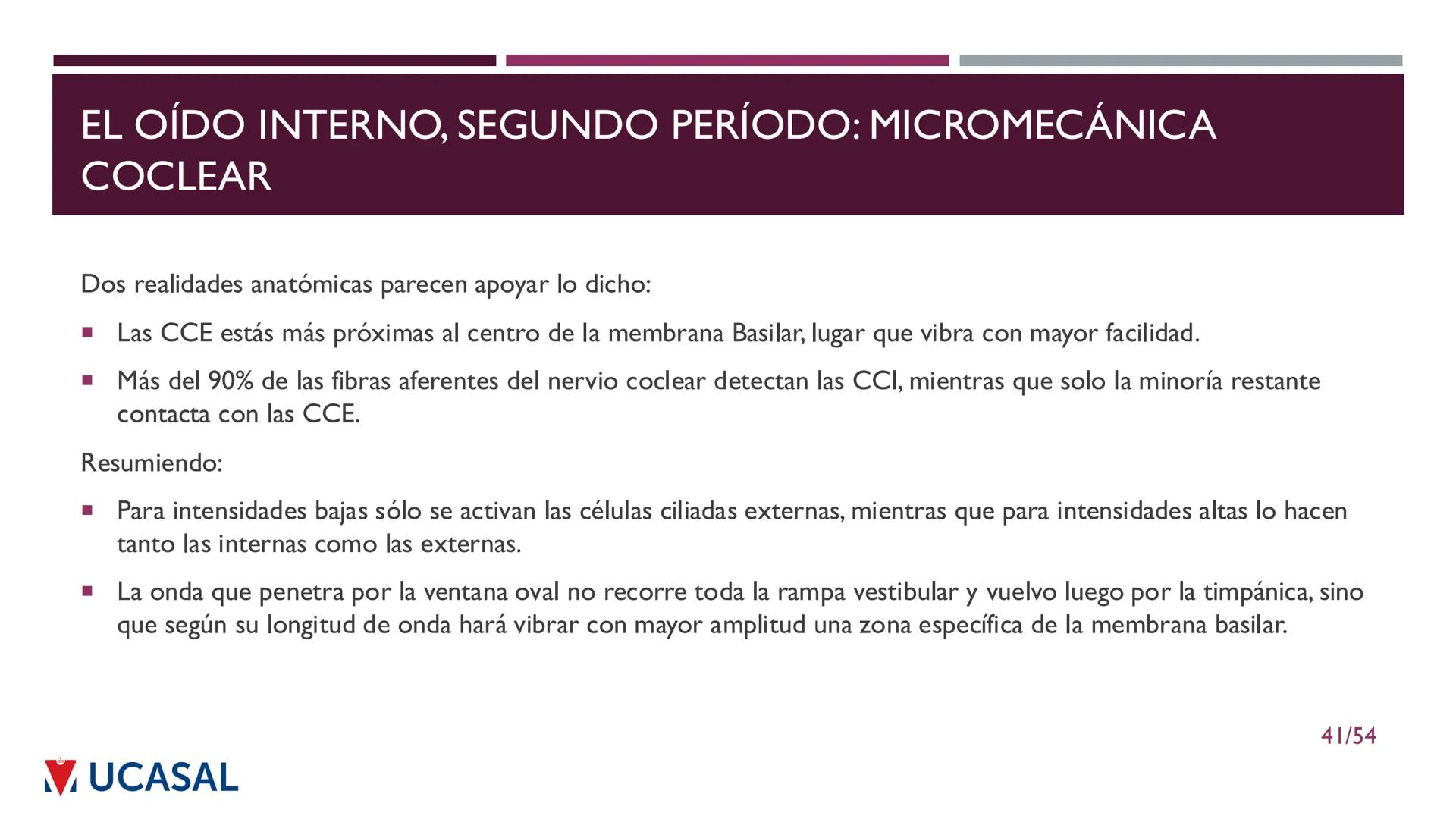 +
IHS
☑ UCASAL
UNIVERSIDAD CATÓLICA DE SALTA
UNIDAD VI: EL MECANISMO DE LA
PERCEPCIÓN AUDITIVA
Ing. Maximiliano Ortiz (maortiz@ucasal.ed