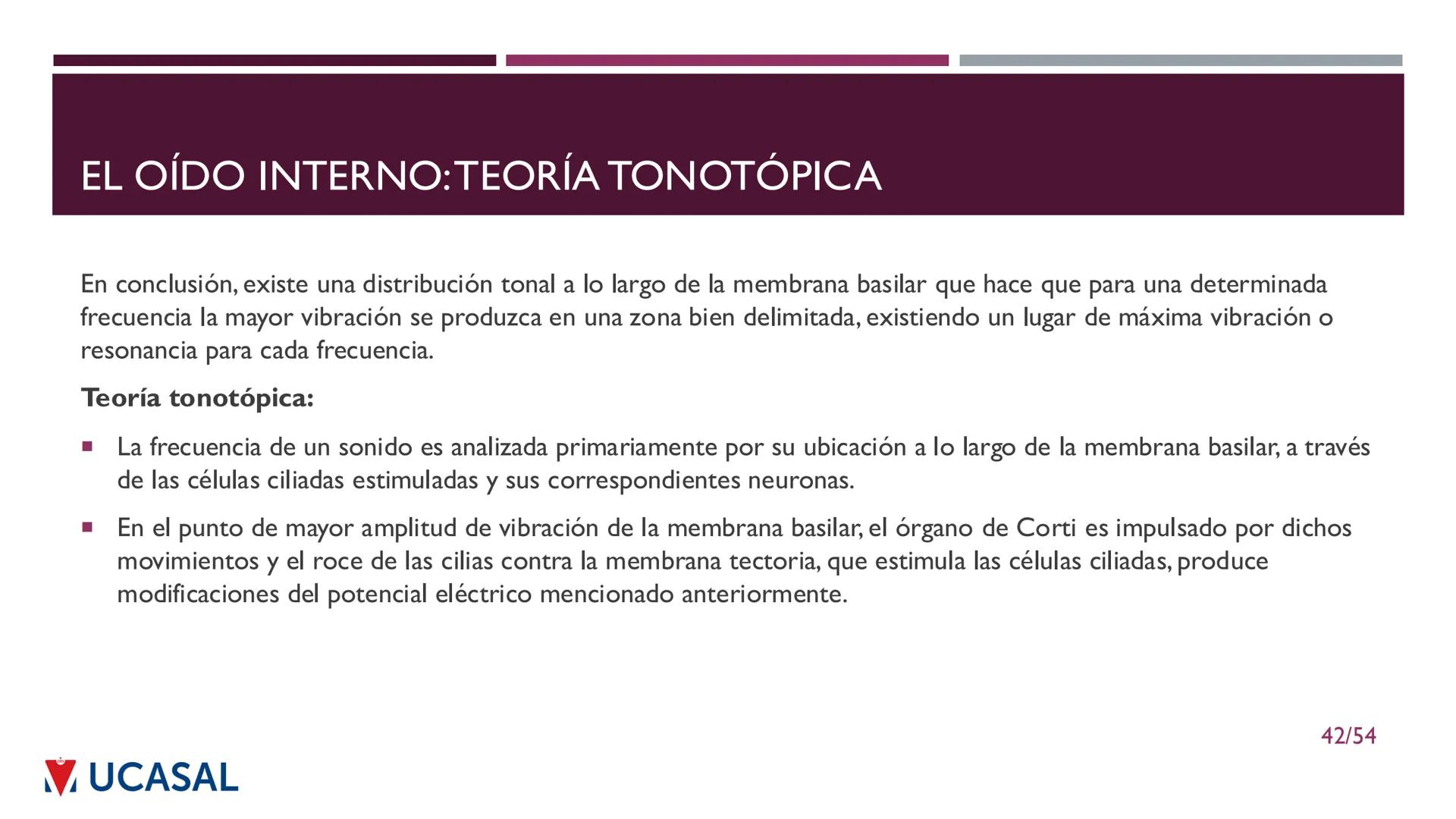 +
IHS
☑ UCASAL
UNIVERSIDAD CATÓLICA DE SALTA
UNIDAD VI: EL MECANISMO DE LA
PERCEPCIÓN AUDITIVA
Ing. Maximiliano Ortiz (maortiz@ucasal.ed