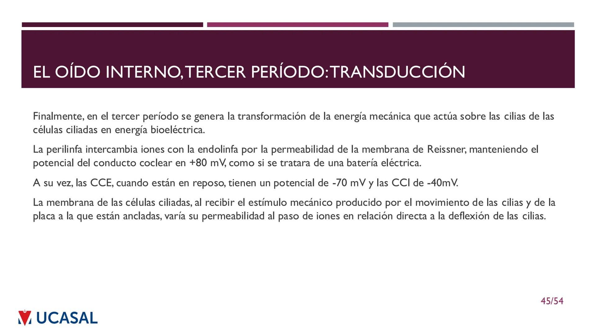 +
IHS
☑ UCASAL
UNIVERSIDAD CATÓLICA DE SALTA
UNIDAD VI: EL MECANISMO DE LA
PERCEPCIÓN AUDITIVA
Ing. Maximiliano Ortiz (maortiz@ucasal.ed