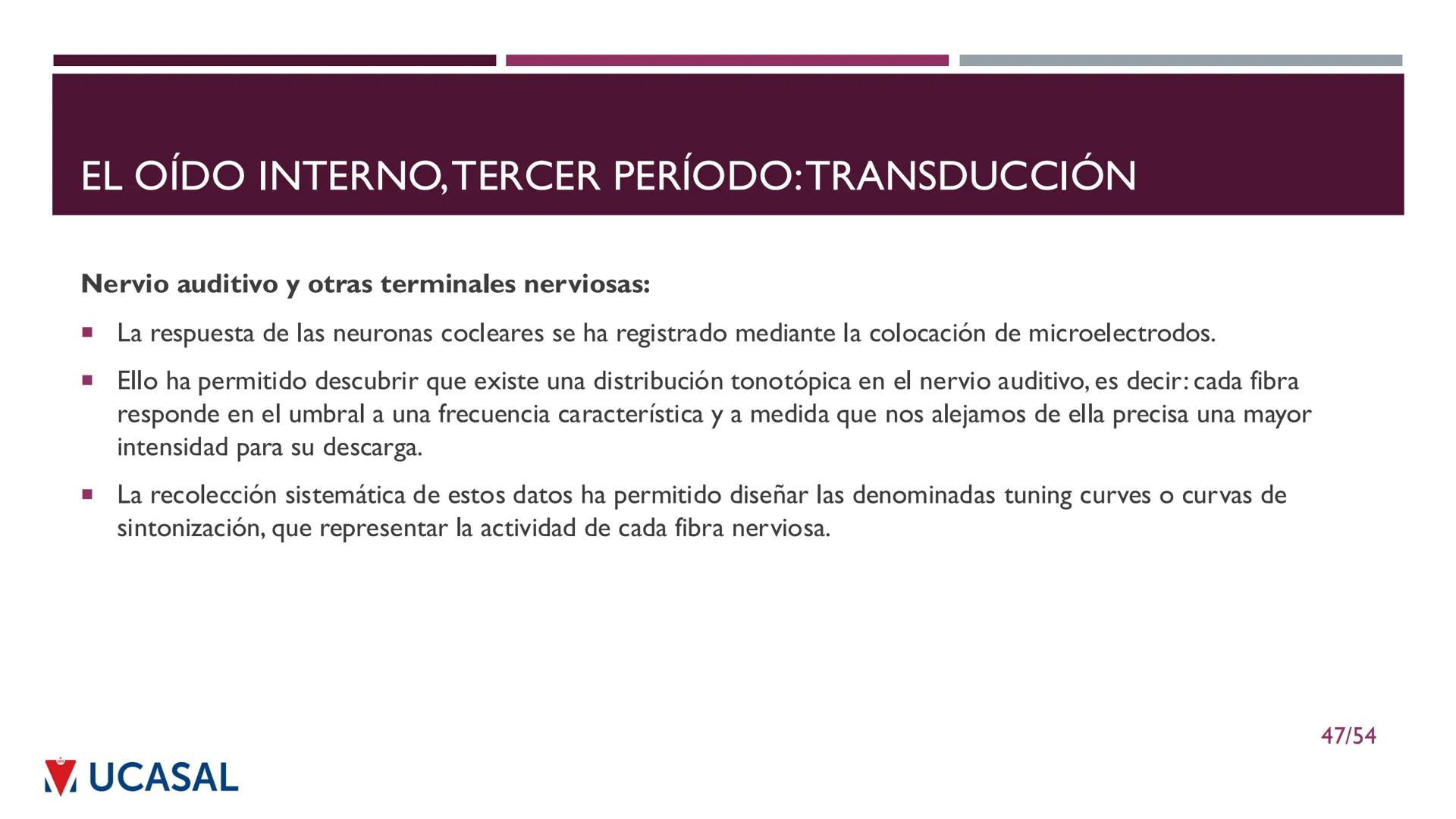 +
IHS
☑ UCASAL
UNIVERSIDAD CATÓLICA DE SALTA
UNIDAD VI: EL MECANISMO DE LA
PERCEPCIÓN AUDITIVA
Ing. Maximiliano Ortiz (maortiz@ucasal.ed