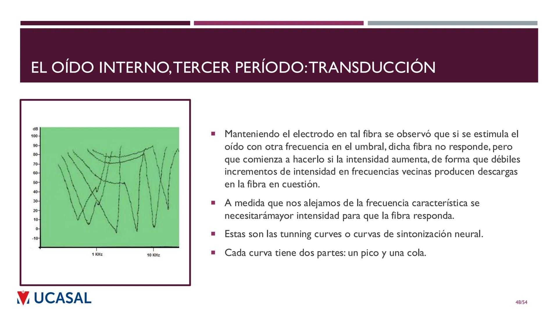 +
IHS
☑ UCASAL
UNIVERSIDAD CATÓLICA DE SALTA
UNIDAD VI: EL MECANISMO DE LA
PERCEPCIÓN AUDITIVA
Ing. Maximiliano Ortiz (maortiz@ucasal.ed