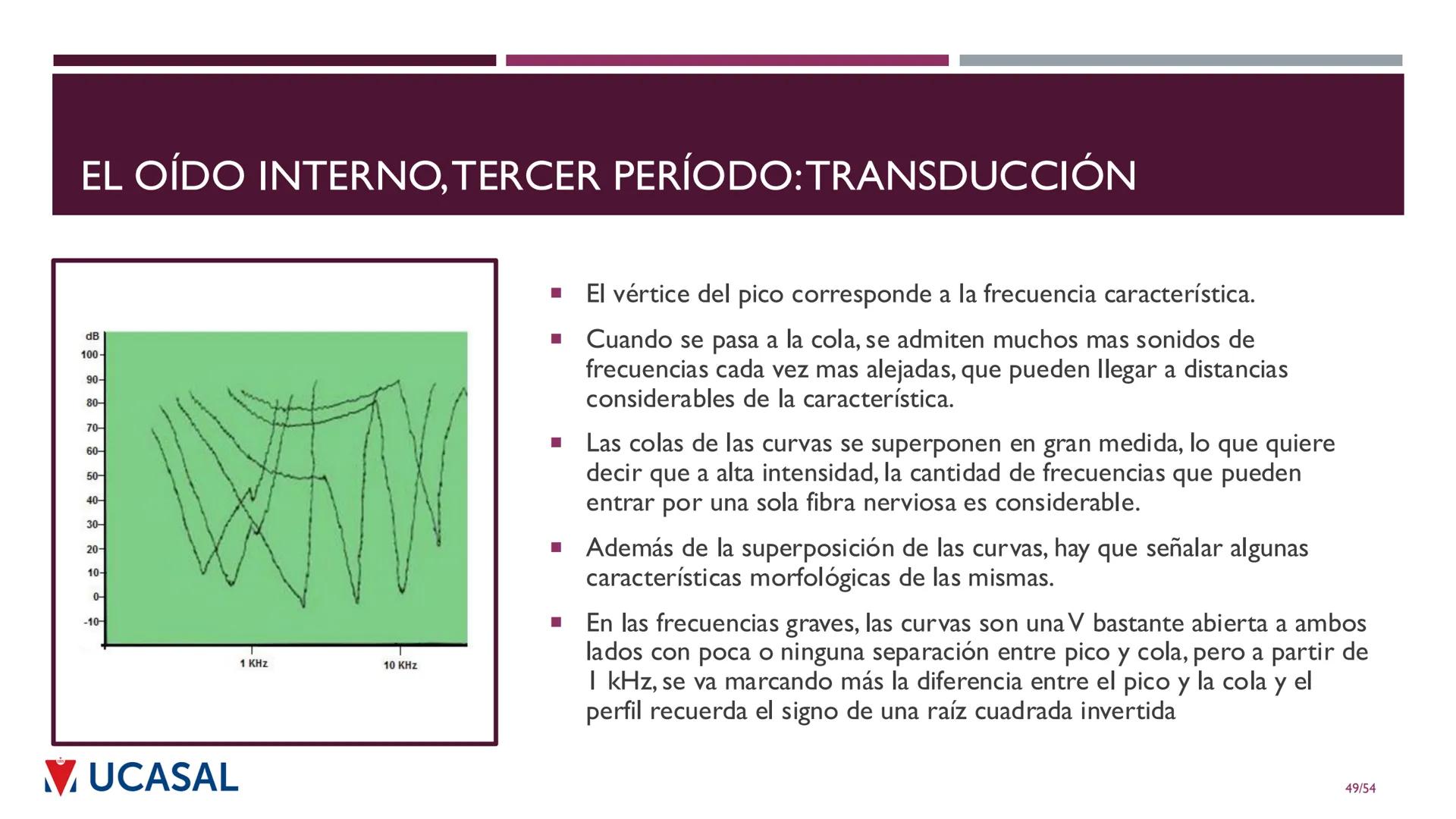 +
IHS
☑ UCASAL
UNIVERSIDAD CATÓLICA DE SALTA
UNIDAD VI: EL MECANISMO DE LA
PERCEPCIÓN AUDITIVA
Ing. Maximiliano Ortiz (maortiz@ucasal.ed