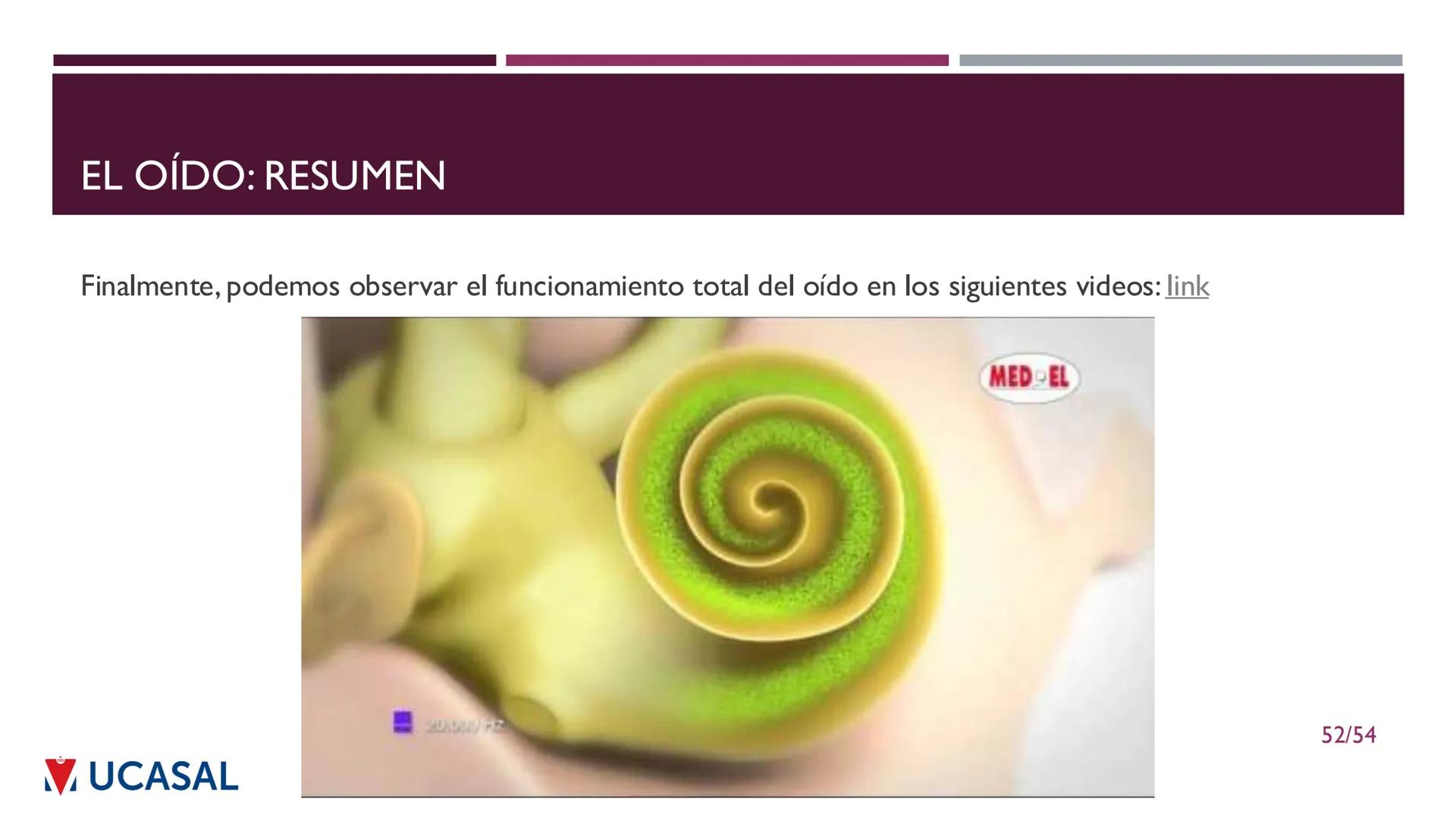 +
IHS
☑ UCASAL
UNIVERSIDAD CATÓLICA DE SALTA
UNIDAD VI: EL MECANISMO DE LA
PERCEPCIÓN AUDITIVA
Ing. Maximiliano Ortiz (maortiz@ucasal.ed