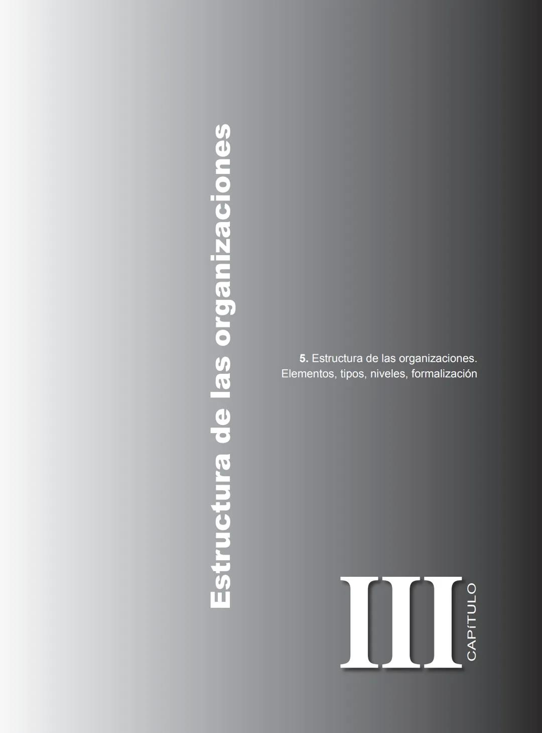 Miguel Ángel Vicente Juan Carlos Ayala
COORDINADORES
PRINCIPIOS FUNDAMENTALES
PARA LA ADMINISTRACIÓN
DE ORGANIZACIONES
María Victoria Belt