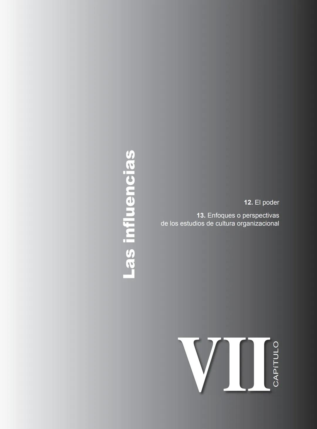 Miguel Ángel Vicente Juan Carlos Ayala
COORDINADORES
PRINCIPIOS FUNDAMENTALES
PARA LA ADMINISTRACIÓN
DE ORGANIZACIONES
María Victoria Belt