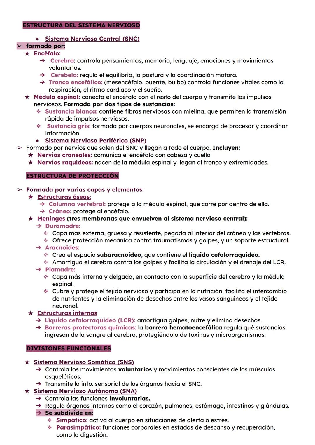 # ESTRUCTURA DEL SISTEMA NERVIOSO
* Sistema Nervioso Central (SNC)
formado por:
★ Encéfalo:
→ Cerebro: controla pensamientos, memoria,