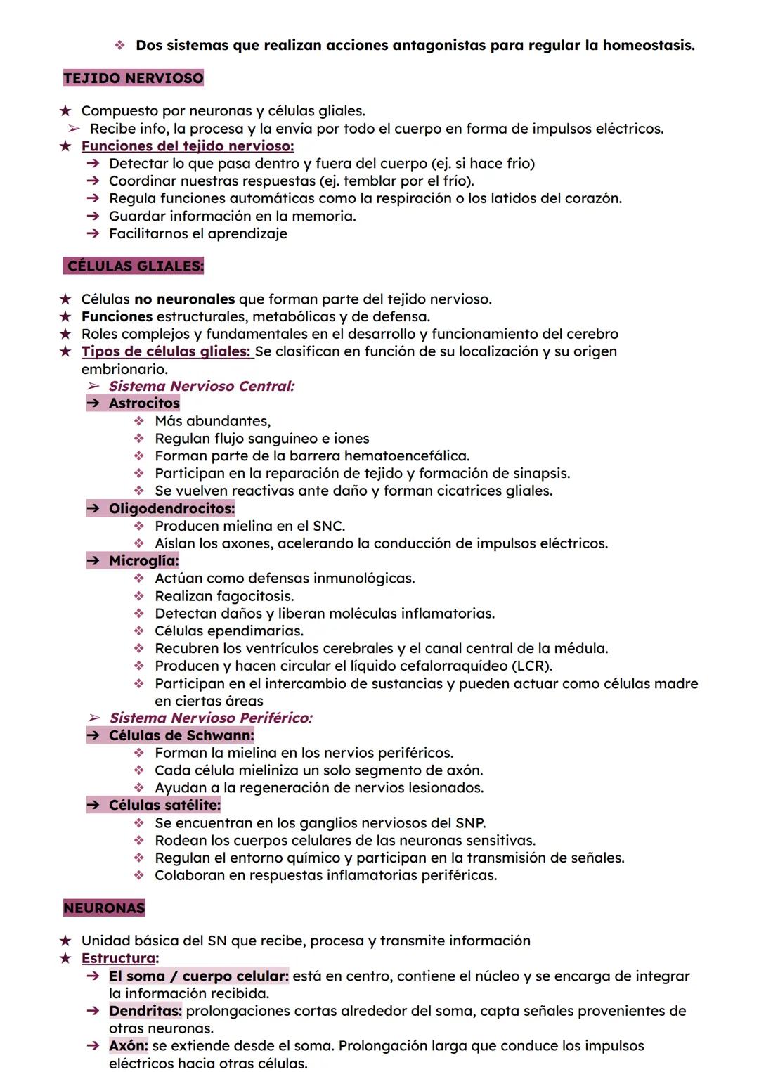 # ESTRUCTURA DEL SISTEMA NERVIOSO
* Sistema Nervioso Central (SNC)
formado por:
★ Encéfalo:
→ Cerebro: controla pensamientos, memoria,