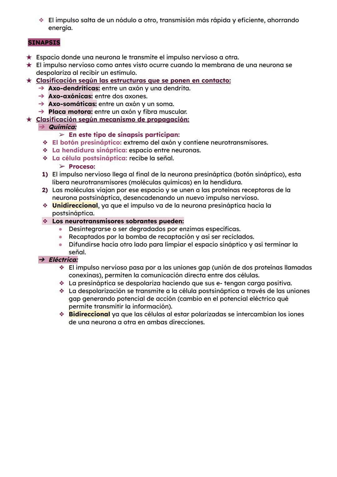 # ESTRUCTURA DEL SISTEMA NERVIOSO
* Sistema Nervioso Central (SNC)
formado por:
★ Encéfalo:
→ Cerebro: controla pensamientos, memoria,