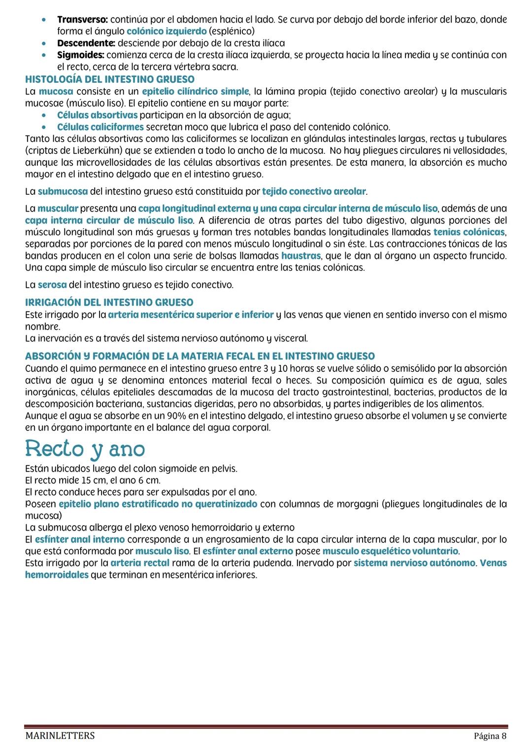 externo, que permite el control voluntario de la defecación.
La contracción involuntaria del músculo liso contribuye a degradar los aliment