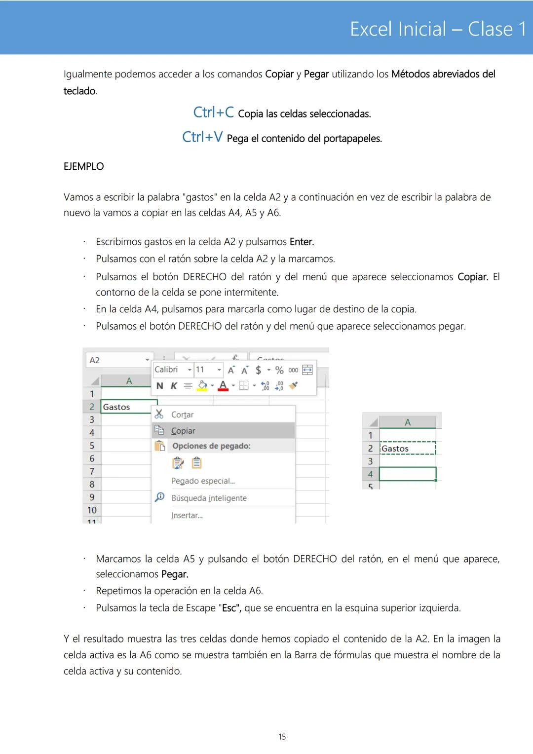 # Excel Inicial - Clase 1
TEORIA BÁSICA DE EXCEL
Microsoft Excel es un programa de gestión de hojas de cálculo, que permite crear, modific