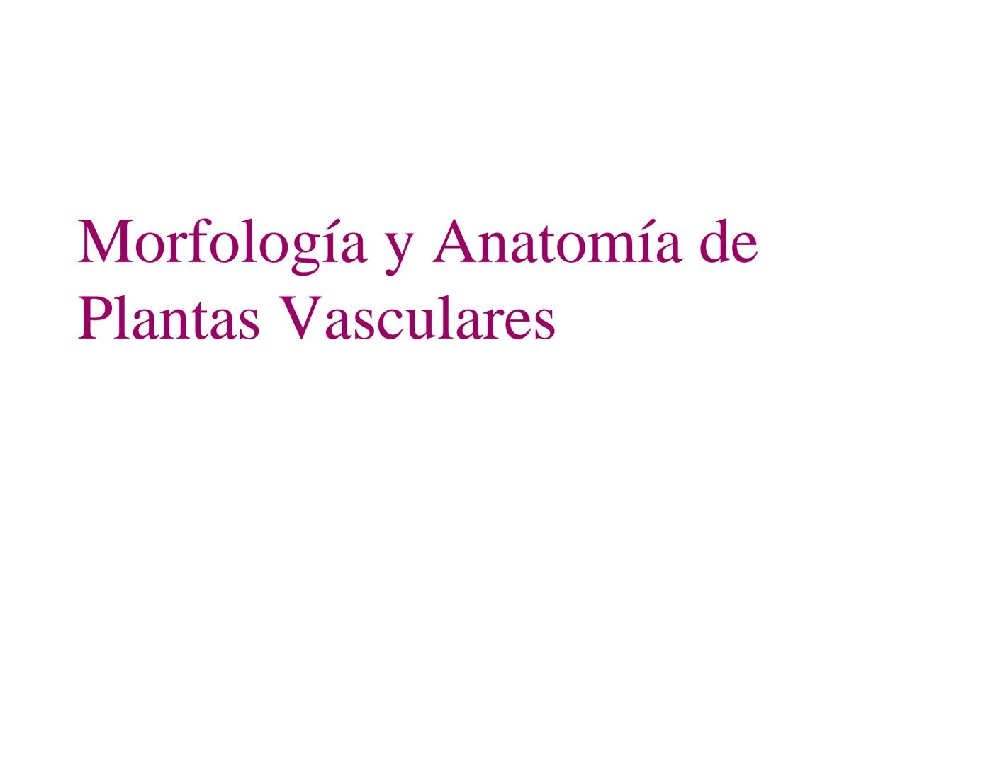 # Morfología y Anatomía de
# Plantas Vasculares # Morfología versus Anatomía Vegetal
- La morfología vegetal estudia la estructura
externa;