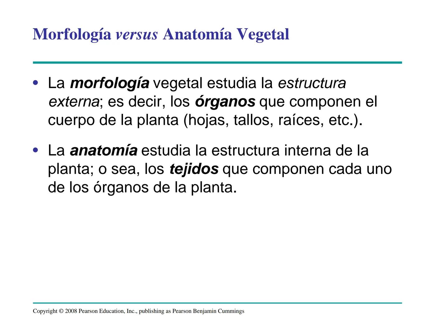 # Morfología y Anatomía de
# Plantas Vasculares # Morfología versus Anatomía Vegetal
- La morfología vegetal estudia la estructura
externa;