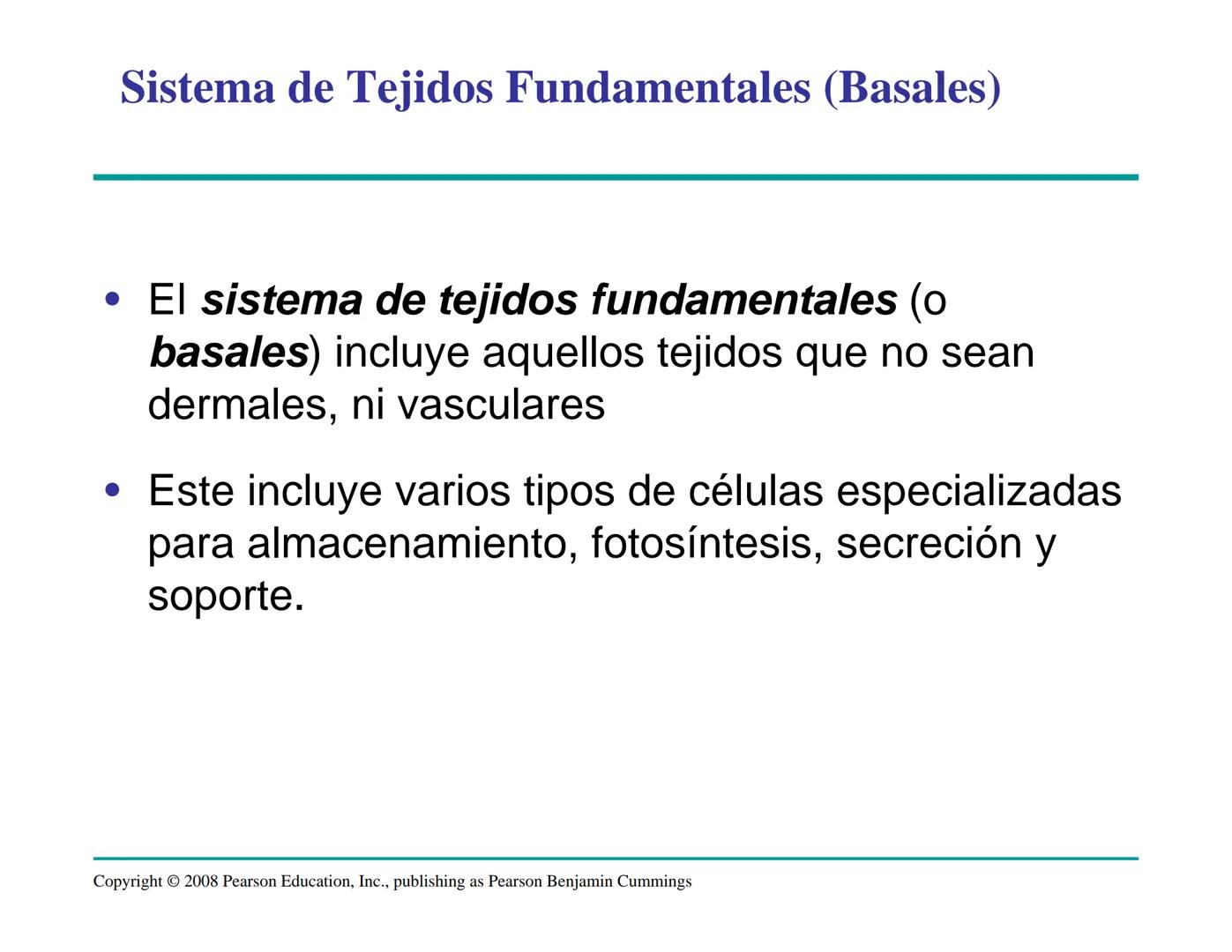 # Morfología y Anatomía de
# Plantas Vasculares # Morfología versus Anatomía Vegetal
- La morfología vegetal estudia la estructura
externa;