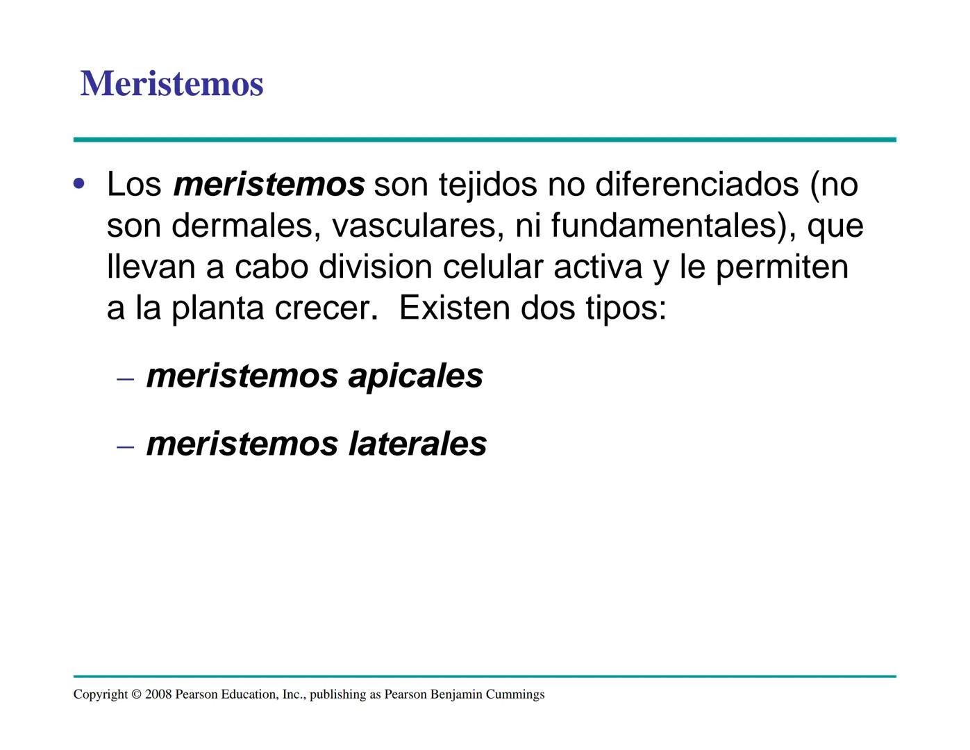 # Morfología y Anatomía de
# Plantas Vasculares # Morfología versus Anatomía Vegetal
- La morfología vegetal estudia la estructura
externa;
