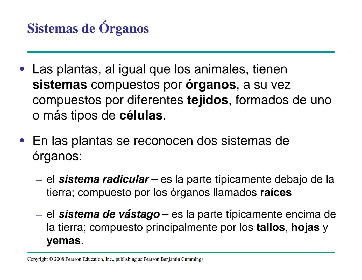 # Morfología y Anatomía de
# Plantas Vasculares # Morfología versus Anatomía Vegetal
- La morfología vegetal estudia la estructura
externa;