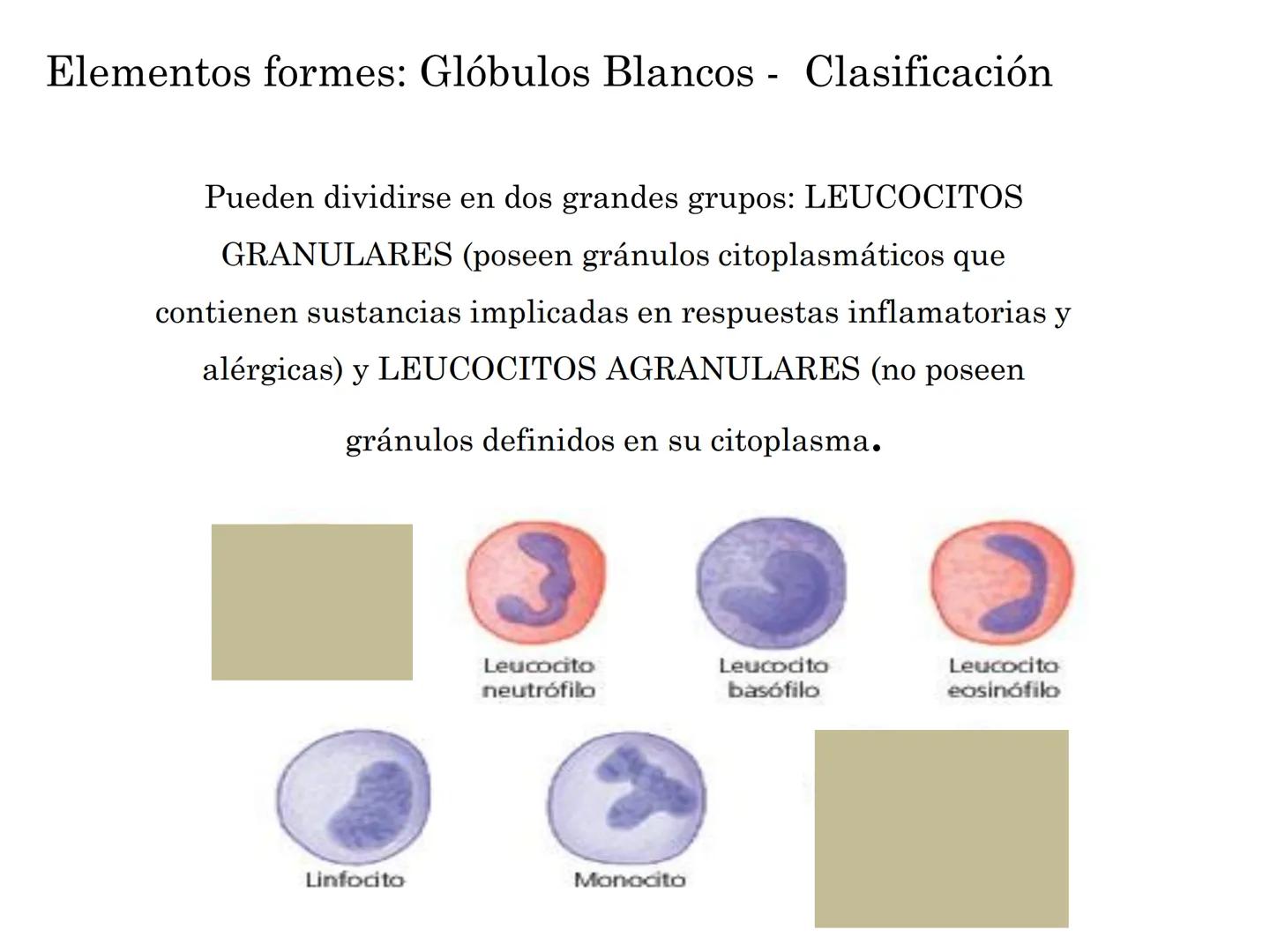 BIOQUIMICA Y PRINCIPIOS DE FARMACOLOGIA
EJE V:LA SANGRE
Lic. Norma E. Diaz # Generalidades de la Sangre
La sangre es un tejido fluido que