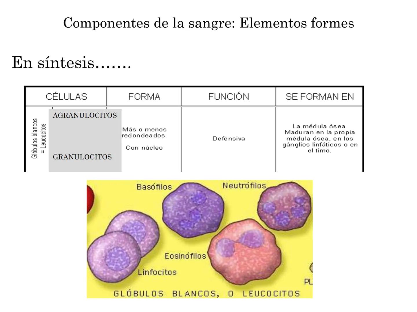 BIOQUIMICA Y PRINCIPIOS DE FARMACOLOGIA
EJE V:LA SANGRE
Lic. Norma E. Diaz # Generalidades de la Sangre
La sangre es un tejido fluido que