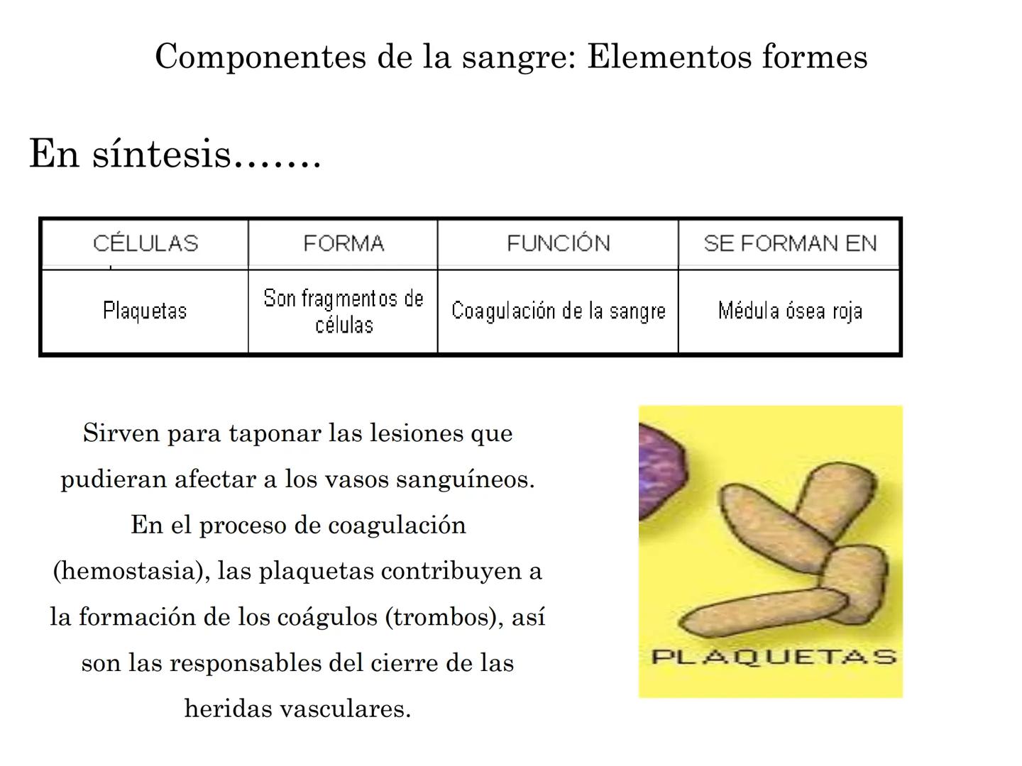 BIOQUIMICA Y PRINCIPIOS DE FARMACOLOGIA
EJE V:LA SANGRE
Lic. Norma E. Diaz # Generalidades de la Sangre
La sangre es un tejido fluido que