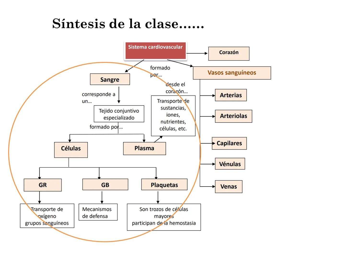 BIOQUIMICA Y PRINCIPIOS DE FARMACOLOGIA
EJE V:LA SANGRE
Lic. Norma E. Diaz # Generalidades de la Sangre
La sangre es un tejido fluido que