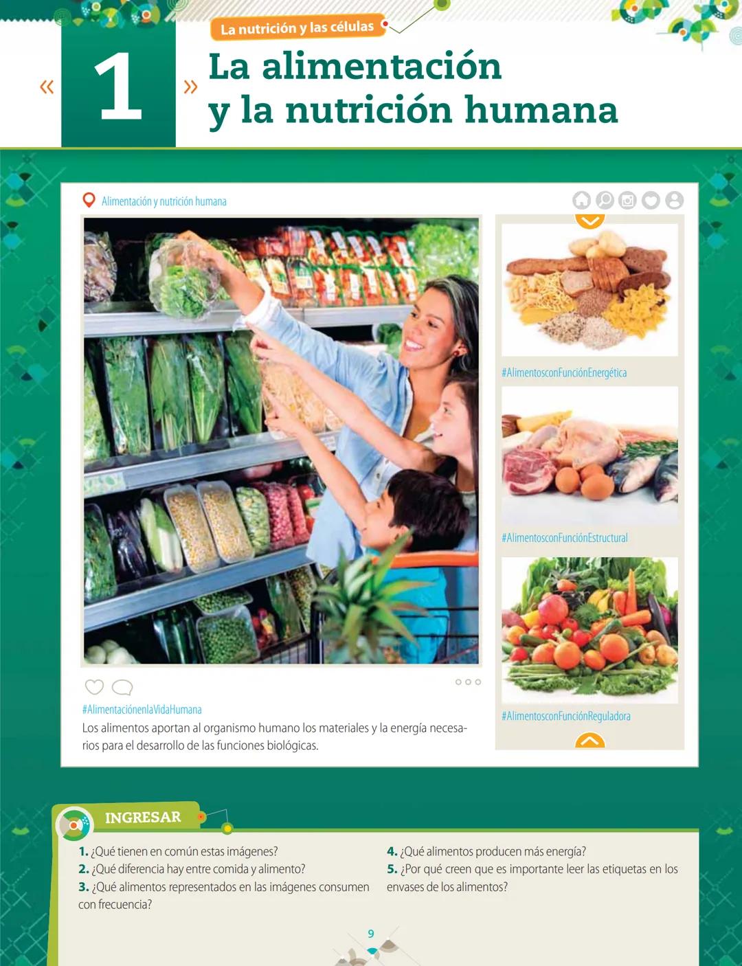 La nutrición y las células
<<
1
>>
La alimentación
y la nutrición humana
Q Alimentación y nutrición humana
#AlimentaciónenlaVida Humana