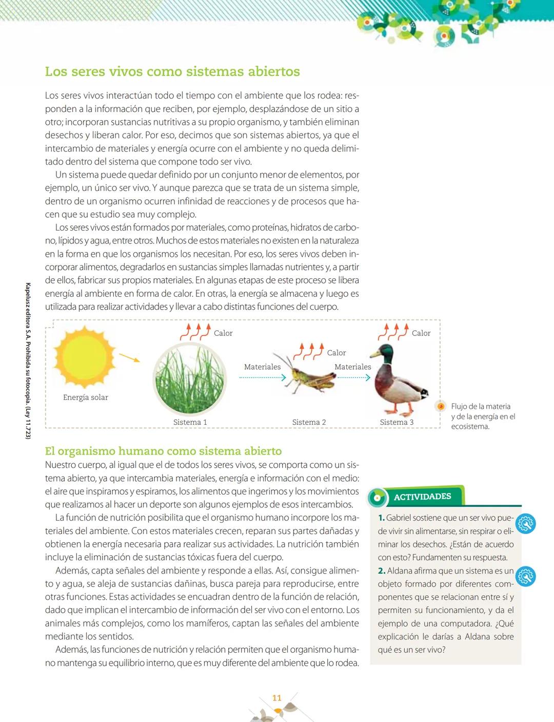 La nutrición y las células
<<
1
>>
La alimentación
y la nutrición humana
Q Alimentación y nutrición humana
#AlimentaciónenlaVida Humana